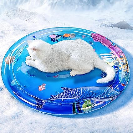 Pet Water Play Mat for Cats & Dogs